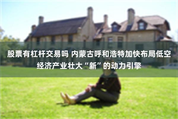 股票有杠杆交易吗 内蒙古呼和浩特加快布局低空经济产业壮大“新”的动力引擎