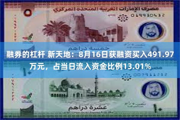 融券的杠杆 新天地：8月16日获融资买入491.97万元，占当日流入资金比例13.01%