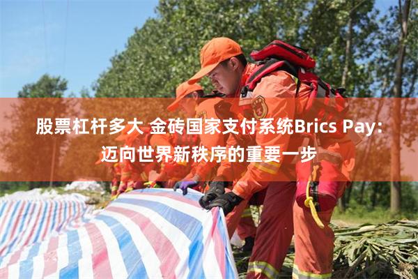 股票杠杆多大 金砖国家支付系统Brics Pay：迈向世界新秩序的重要一步