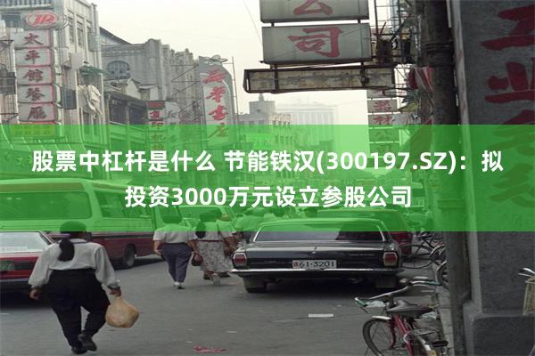 股票中杠杆是什么 节能铁汉(300197.SZ)：拟投资3000万元设立参股公司