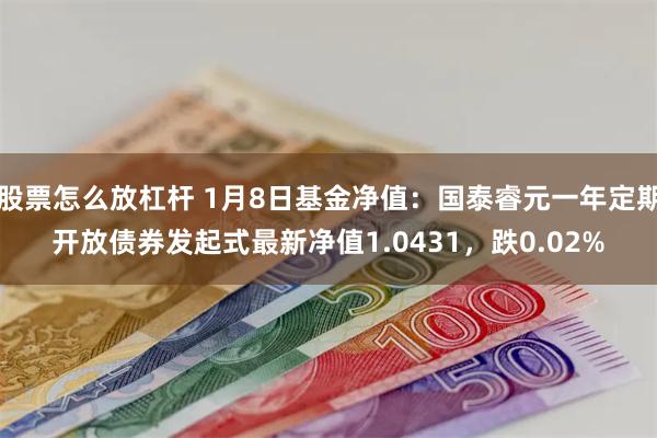 股票怎么放杠杆 1月8日基金净值：国泰睿元一年定期开放债券发起式最新净值1.0431，跌0.02%